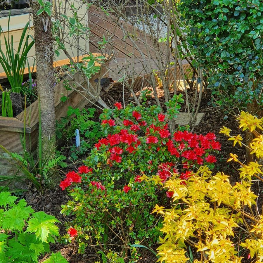 Eden'S Rest Bed And Breakfast Bugle Exterior foto